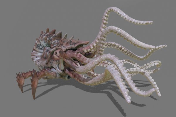 Kraken 17 at